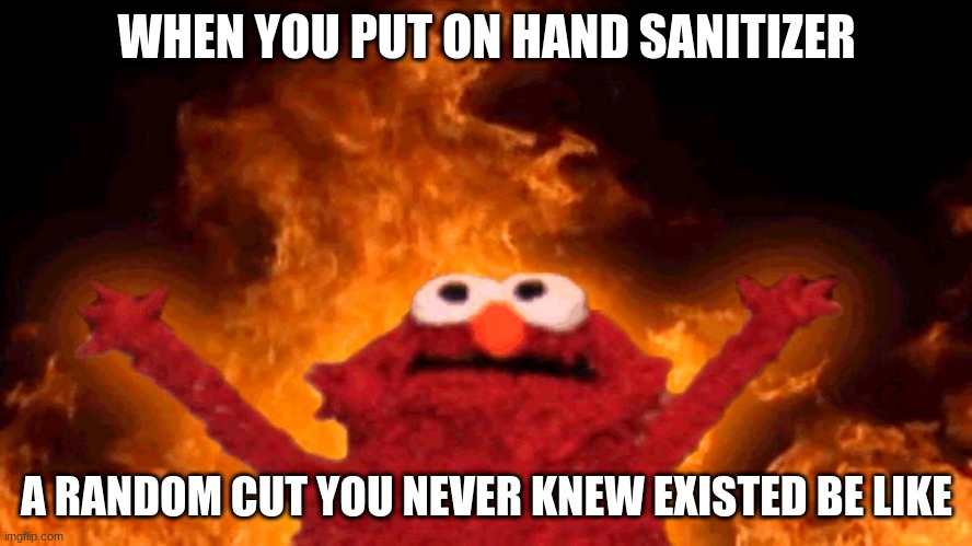 OW | WHEN YOU PUT ON HAND SANITIZER; A RANDOM CUT YOU NEVER KNEW EXISTED BE LIKE | image tagged in elmo fire | made w/ Imgflip meme maker