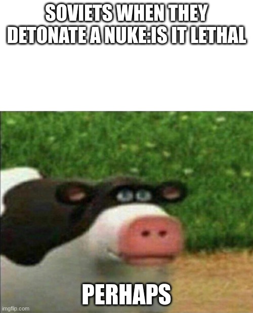 Perhaps cow | SOVIETS WHEN THEY DETONATE A NUKE:IS IT LETHAL; PERHAPS | image tagged in perhaps cow | made w/ Imgflip meme maker