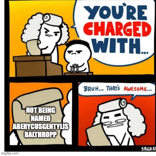 You're Charged With | NOT BEING NAMED ABERYCUSGENTYLIS BALTHROPP | image tagged in you're charged with | made w/ Imgflip meme maker
