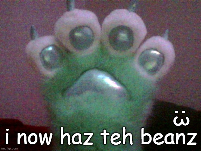 beanz :O | :3; i now haz teh beanz | image tagged in beans,toe_beans,furry | made w/ Imgflip meme maker