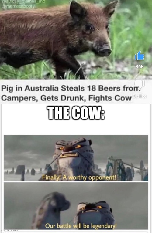 The pig's epik quest | THE COW: | image tagged in finally a worthy opponent,pig | made w/ Imgflip meme maker
