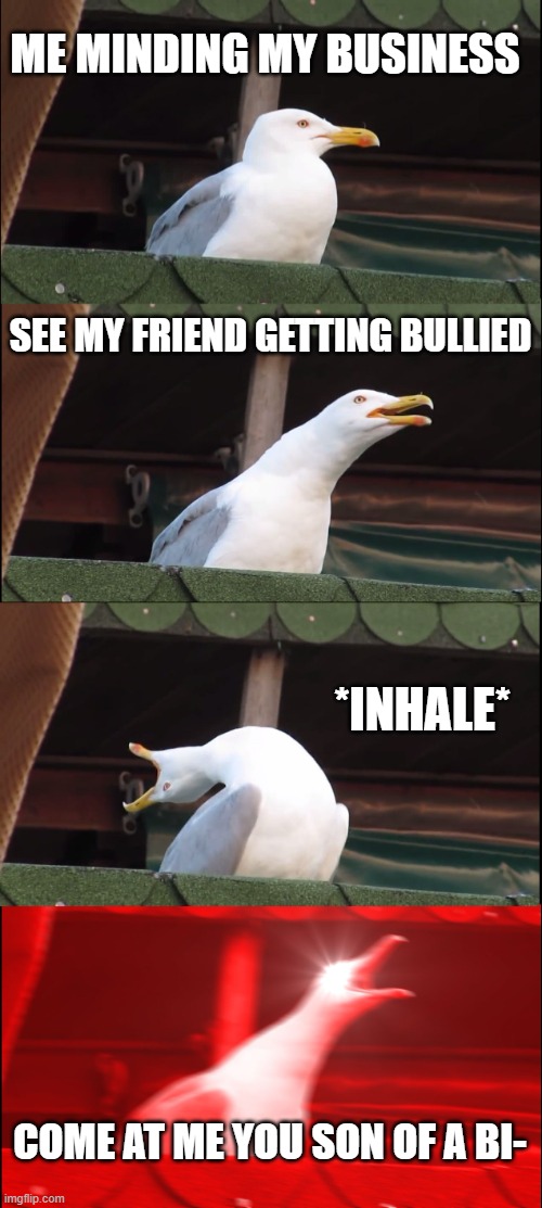 i gotch homie | ME MINDING MY BUSINESS; SEE MY FRIEND GETTING BULLIED; *INHALE*; COME AT ME YOU SON OF A BI- | image tagged in memes,inhaling seagull | made w/ Imgflip meme maker