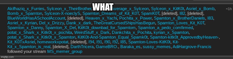 WHAT | made w/ Imgflip meme maker