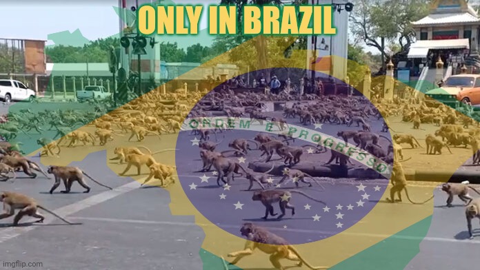 I shoulda stayed in Ohio... | ONLY IN BRAZIL | image tagged in you're going to brazil,only in ohio,only in brazil,stop it | made w/ Imgflip meme maker
