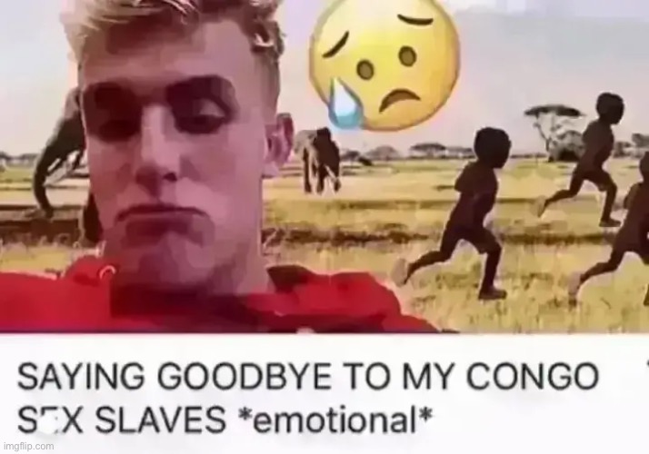 paul | image tagged in bruh,lol,why are you reading this | made w/ Imgflip meme maker