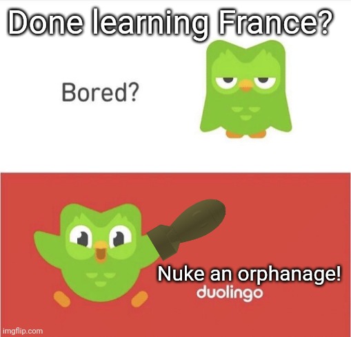 Bored Duolingo | Done learning France? Nuke an orphanage! | image tagged in bored duolingo,nuke | made w/ Imgflip meme maker