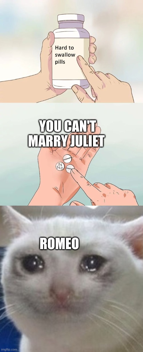 YOU CAN'T MARRY JULIET; ROMEO | image tagged in memes,hard to swallow pills,crying cat | made w/ Imgflip meme maker