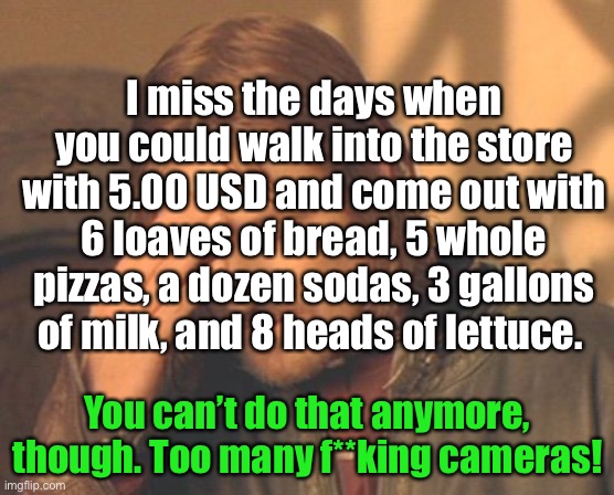 Stupid cameras | I miss the days when you could walk into the store with 5.00 USD and come out with 6 loaves of bread, 5 whole pizzas, a dozen sodas, 3 gallo | image tagged in funny,iceu,make u see this lol | made w/ Imgflip meme maker