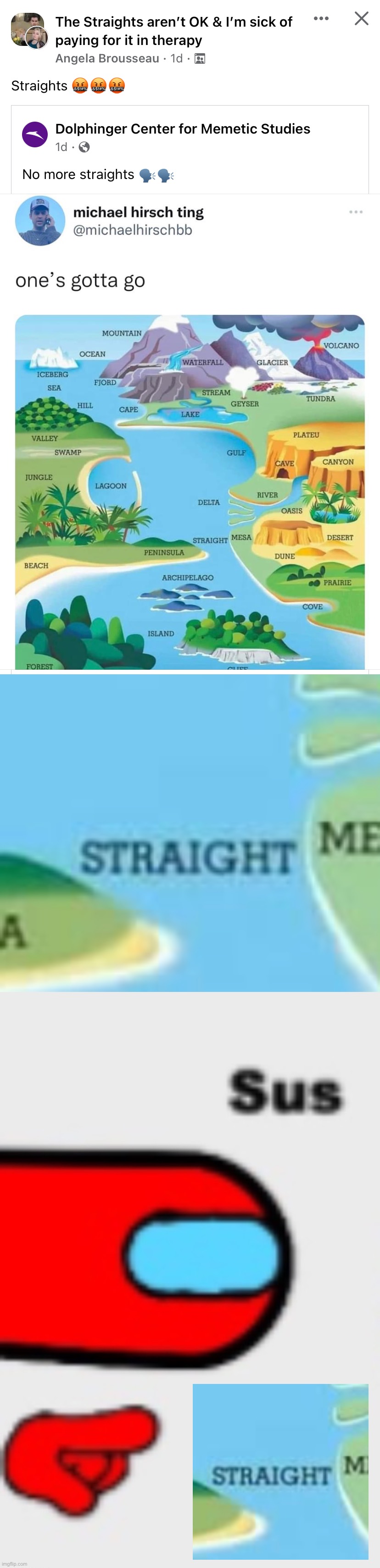 Of course they picked on the one geographical feature that happens to share a meaning with a sexuality. This meme oppresses me | image tagged in among us sus zoomed,straight,this,meme,oppresses,me | made w/ Imgflip meme maker