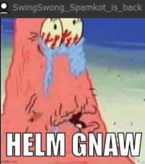 image tagged in helm gnaw | made w/ Imgflip meme maker
