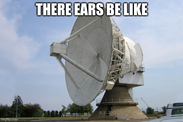 Radar Dish | THERE EARS BE LIKE | image tagged in radar dish | made w/ Imgflip meme maker