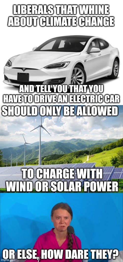 THEY'LL MAKE GRETA UPSET |  LIBERALS THAT WHINE ABOUT CLIMATE CHANGE; AND TELL YOU THAT YOU HAVE TO DRIVE AN ELECTRIC CAR; SHOULD ONLY BE ALLOWED; TO CHARGE WITH WIND OR SOLAR POWER; OR ELSE, HOW DARE THEY? | image tagged in how dare you - greta thunberg,liberals,climate change,politics,tesla | made w/ Imgflip meme maker