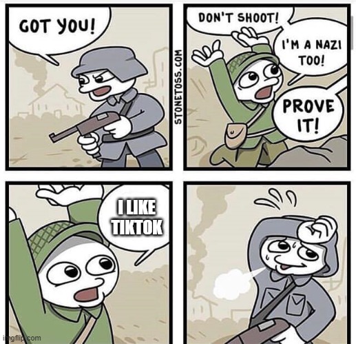 Don't shoot i'm a nazi too | I LIKE TIKTOK | image tagged in don't shoot i'm a nazi too | made w/ Imgflip meme maker