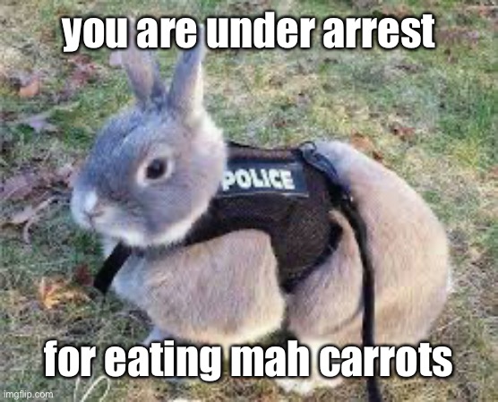 e | you are under arrest; for eating mah carrots | image tagged in police rabbit,rabbit | made w/ Imgflip meme maker