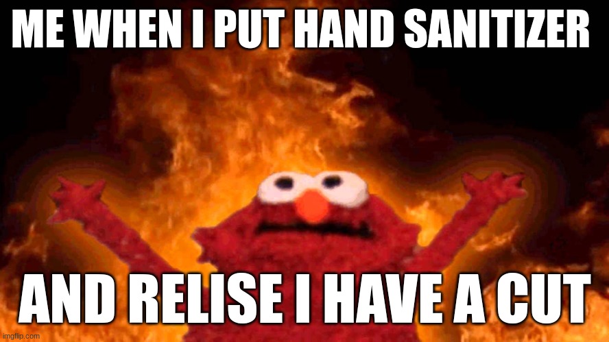 so true | ME WHEN I PUT HAND SANITIZER; AND RELISE I HAVE A CUT | image tagged in elmo fire | made w/ Imgflip meme maker