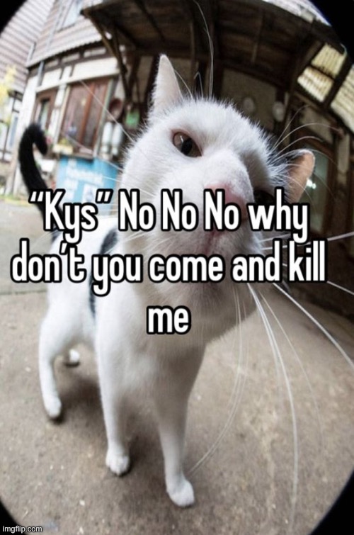 bruh | image tagged in bruh,lol,why are you reading this | made w/ Imgflip meme maker