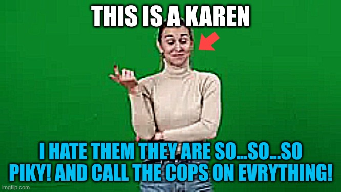 THIS IS A KAREN; I HATE THEM THEY ARE SO...SO...SO
PIKY! AND CALL THE COPS ON EVRYTHING! | made w/ Imgflip meme maker