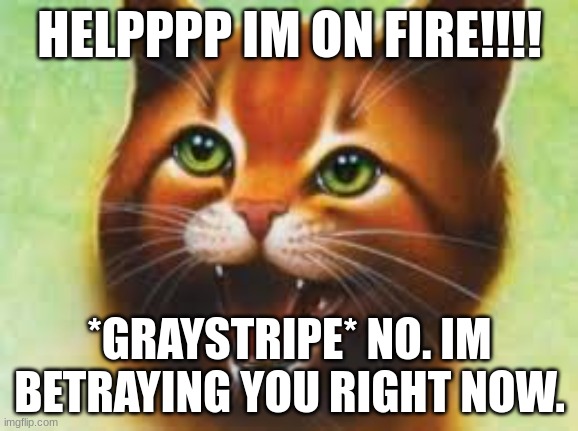 Warrior cats Firestar | HELPPPP IM ON FIRE!!!! *GRAYSTRIPE* NO. IM BETRAYING YOU RIGHT NOW. | image tagged in warrior cats firestar | made w/ Imgflip meme maker