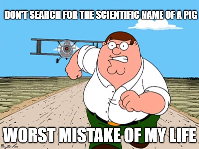 Peter Griffin running away | DON'T SEARCH FOR THE SCIENTIFIC NAME OF A PIG; WORST MISTAKE OF MY LIFE | image tagged in peter griffin running away | made w/ Imgflip meme maker