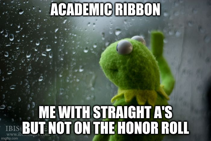 This sucks | ACADEMIC RIBBON; ME WITH STRAIGHT A'S BUT NOT ON THE HONOR ROLL | image tagged in kermit window | made w/ Imgflip meme maker