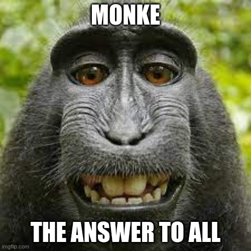 monke | MONKE; THE ANSWER TO ALL | image tagged in memes | made w/ Imgflip meme maker