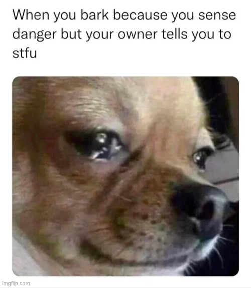 *Sad dog noises* | image tagged in dogs,repost,memes,funny,dog,sad | made w/ Imgflip meme maker
