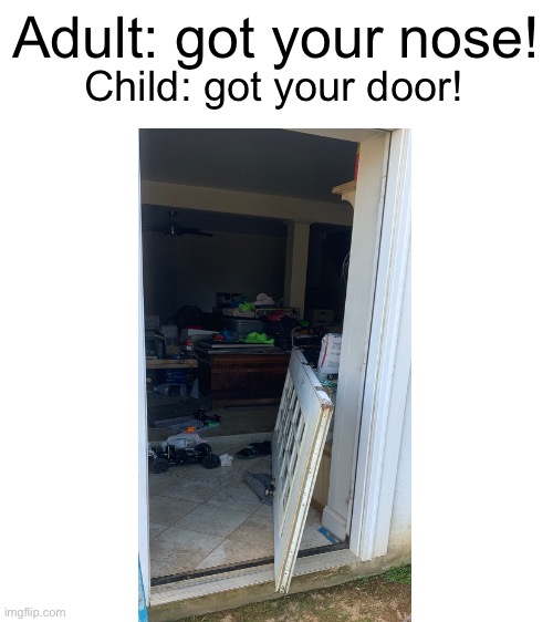 Door | Adult: got your nose! Child: got your door! | image tagged in door | made w/ Imgflip meme maker