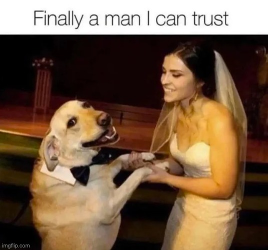 Trust the Dog! | image tagged in dogs,trust,memes,funny,repost,dog | made w/ Imgflip meme maker