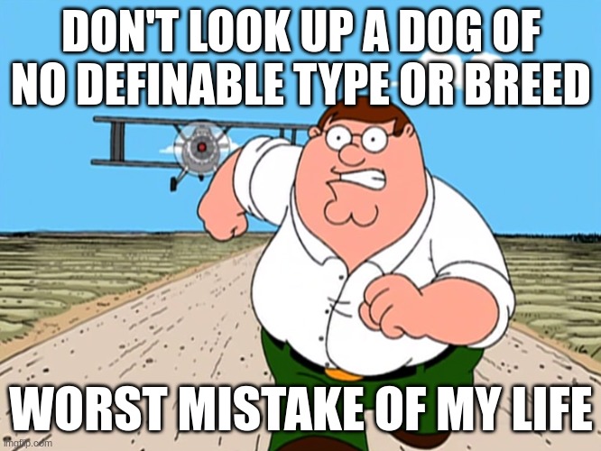 Peter Griffin running away | DON'T LOOK UP A DOG OF NO DEFINABLE TYPE OR BREED; WORST MISTAKE OF MY LIFE | image tagged in peter griffin running away | made w/ Imgflip meme maker