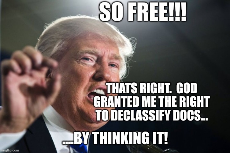 donald trump | THATS RIGHT.  GOD GRANTED ME THE RIGHT TO DECLASSIFY DOCS... ....BY THINKING IT! SO FREE!!! | image tagged in donald trump | made w/ Imgflip meme maker
