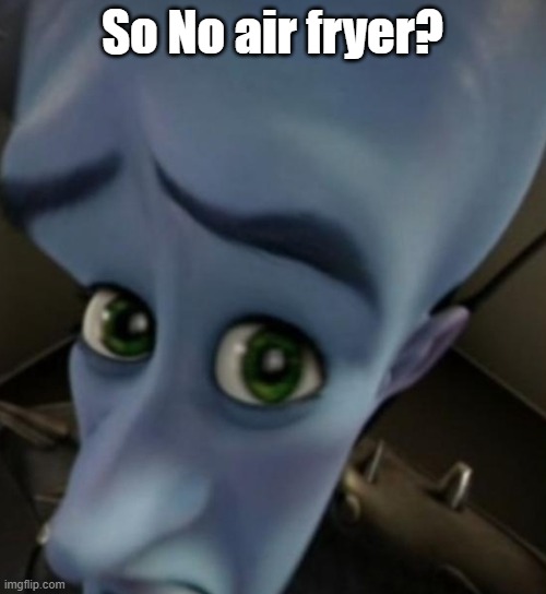 Megamind no bitches | So No air fryer? | image tagged in megamind no bitches | made w/ Imgflip meme maker