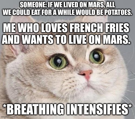breathing intensifies | SOMEONE: IF WE LIVED ON MARS, ALL WE COULD EAT FOR A WHILE WOULD BE POTATOES. ME WHO LOVES FRENCH FRIES AND WANTS TO LIVE ON MARS. *BREATHING INTENSIFIES* | image tagged in breathing intensifies | made w/ Imgflip meme maker
