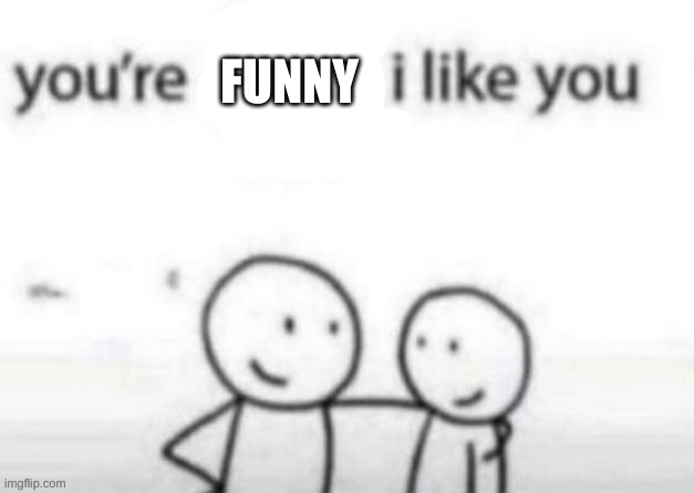 you're x i like you | FUNNY | image tagged in you're x i like you | made w/ Imgflip meme maker