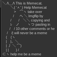 High Quality Meme cat Blank Meme Template