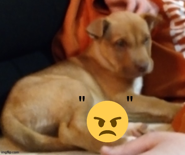 "       " | made w/ Imgflip meme maker