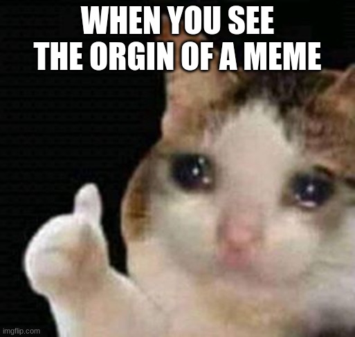 sad thumbs up cat |  WHEN YOU SEE THE ORGIN OF A MEME | image tagged in sad thumbs up cat | made w/ Imgflip meme maker