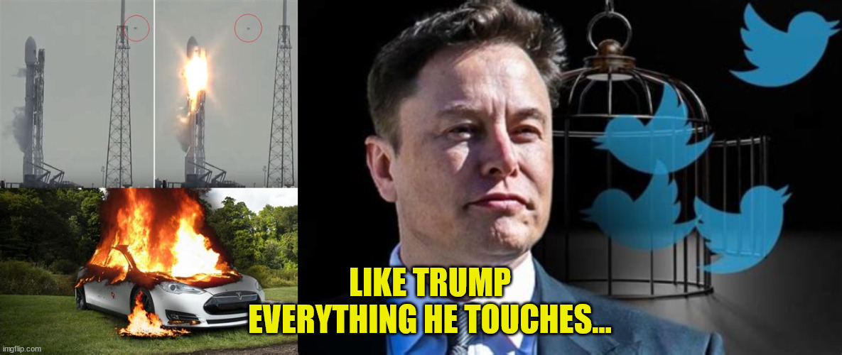 Musk & Trump | LIKE TRUMP EVERYTHING HE TOUCHES... | image tagged in tesla,elon musk,spacex,twitter,loser,fraud | made w/ Imgflip meme maker