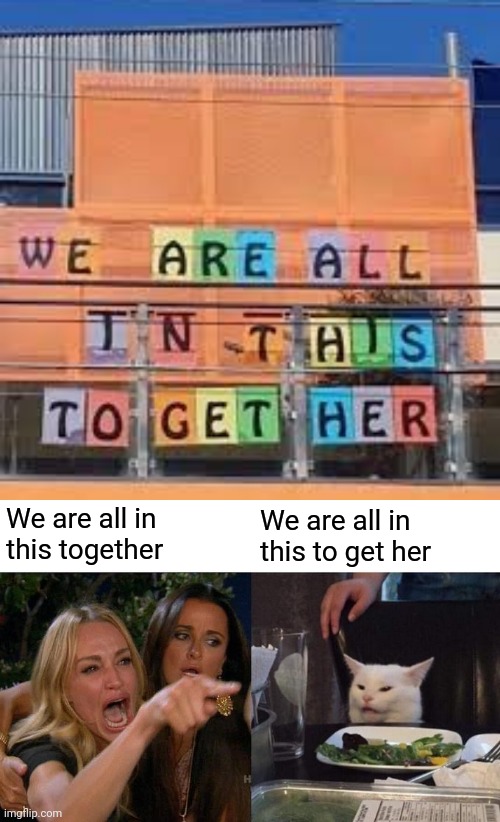 We are all in this together | We are all in this together; We are all in this to get her | image tagged in memes,woman yelling at cat,design fails,you had one job,we are all in this together,design fail | made w/ Imgflip meme maker