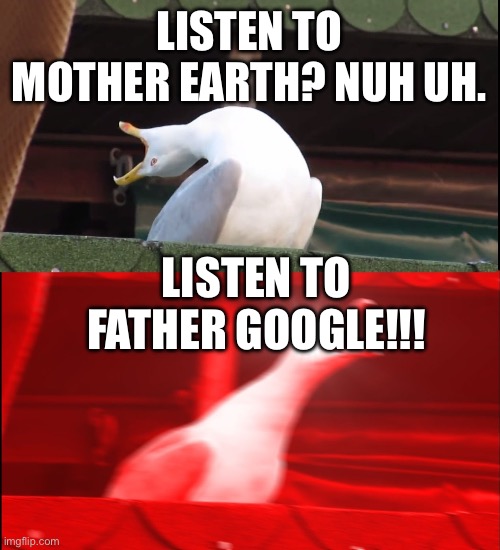 Screaming bird | LISTEN TO MOTHER EARTH? NUH UH. LISTEN TO FATHER GOOGLE!!! | image tagged in screaming bird | made w/ Imgflip meme maker