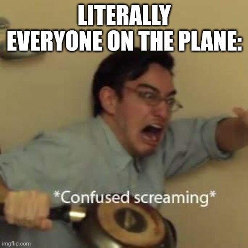 filthy frank confused scream | LITERALLY EVERYONE ON THE PLANE: | image tagged in filthy frank confused scream | made w/ Imgflip meme maker