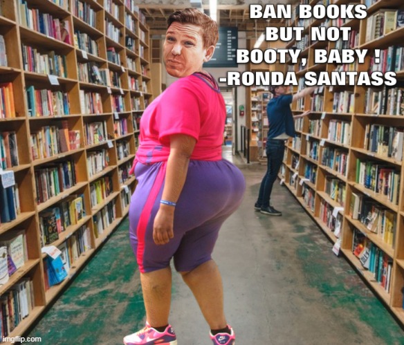 image tagged in florida,ron desantis,books,booty,clown car republicans,maga crazies | made w/ Imgflip meme maker