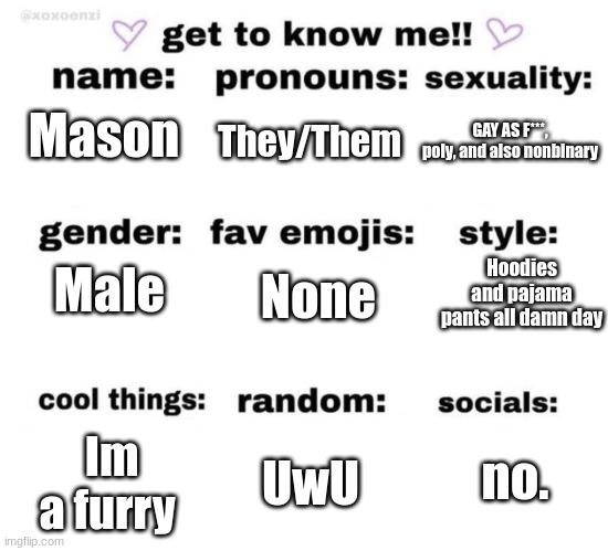 get to know me | They/Them; GAY AS F***, poly, and also nonbinary; Mason; Hoodies and pajama pants all damn day; None; Male; no. Im a furry; UwU | image tagged in get to know me | made w/ Imgflip meme maker