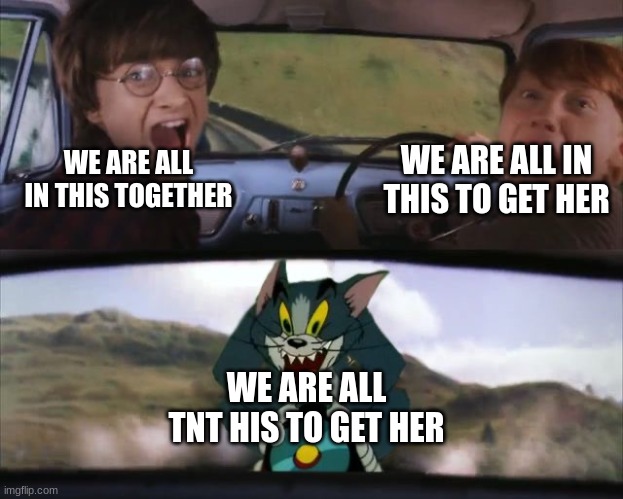 We are all in this together | WE ARE ALL IN THIS TOGETHER; WE ARE ALL IN THIS TO GET HER; WE ARE ALL TNT HIS TO GET HER | image tagged in tom chasing harry and ron weasly | made w/ Imgflip meme maker