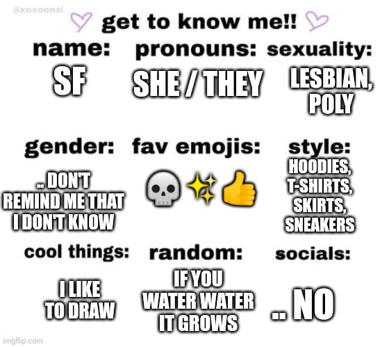 get to know me | SF; LESBIAN, POLY; SHE / THEY; HOODIES, T-SHIRTS, SKIRTS, SNEAKERS; .. DON'T REMIND ME THAT I DON'T KNOW; 💀✨👍; I LIKE TO DRAW; IF YOU WATER WATER IT GROWS; .. NO | image tagged in get to know me | made w/ Imgflip meme maker