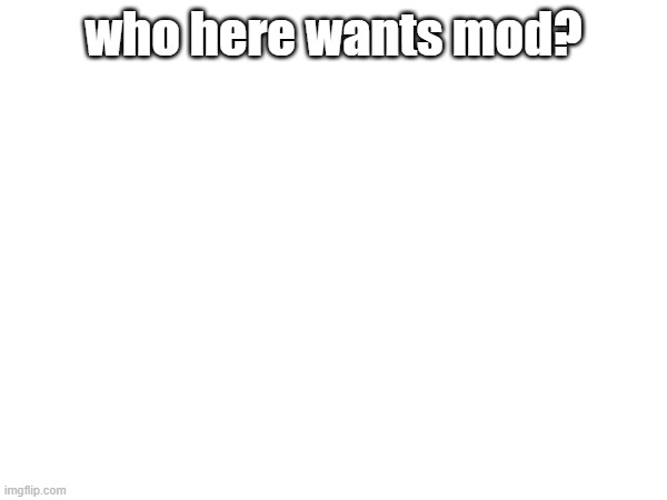 ? | who here wants mod? | image tagged in mod | made w/ Imgflip meme maker