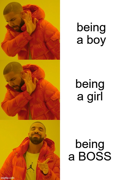 being a boy being a BOSS being a girl | image tagged in memes,drake hotline bling | made w/ Imgflip meme maker