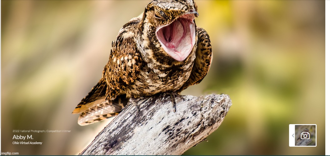 Bet you can't tell me what's off in this image | made w/ Imgflip meme maker