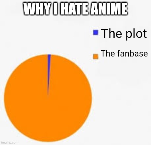 Don't hate anime because it's bad. Hate it because of it's fanbase. | WHY I HATE ANIME; The plot; The fanbase | image tagged in pie chart meme | made w/ Imgflip meme maker