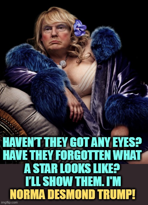 HAVEN’T THEY GOT ANY EYES? 

HAVE THEY FORGOTTEN WHAT 
A STAR LOOKS LIKE? 
I’LL SHOW THEM. I'M; NORMA DESMOND TRUMP! | image tagged in trump,washed up,has been,over,sunset boulevard | made w/ Imgflip meme maker