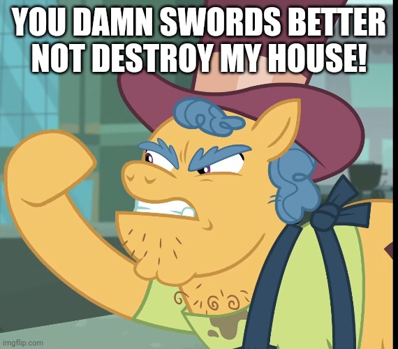 YOU DAMN SWORDS BETTER NOT DESTROY MY HOUSE! | made w/ Imgflip meme maker